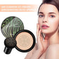 Oil Control Moisturizing BB Cream Cushion